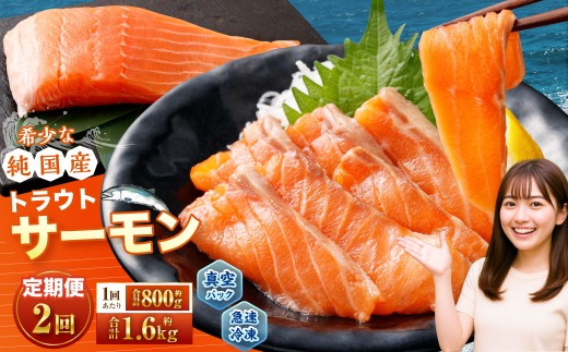 [2回定期便] 国産 トラウトサーモン 計約1.6kg (約200g×4パック)×2回 サーモン 新鮮 小分け 真空パック 急速凍結 国内養殖 冷凍