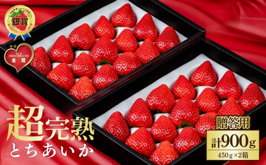 【先行受付:1月中旬以降発送】いちご 鈴木ファームの完熟&朝どれ とちあいか ギフト900g(450g × 2箱) | いちご イチゴ 苺 とちあいか とちおとめ 完熟 甘い あまい 果物 フルーツ 鈴木ファーム 栃木県 茂木町 2059612 - 栃木県茂木町