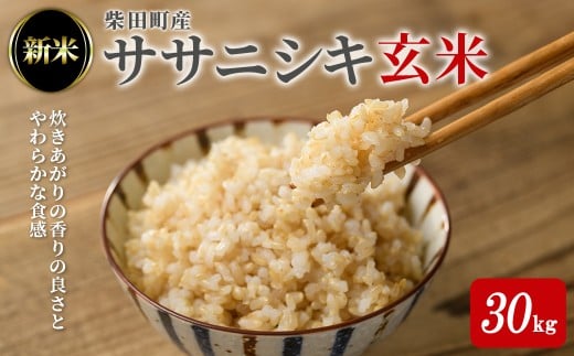 ＜先行予約！2025年10月中旬から順次発送予定＞【令和7年産 新米】ササニシキ 玄米 30kg 柴田町産 お米 おこめ 米 コメ ご飯 ごはん おにぎり お弁当 【農業組合法人葉坂希望の郷】sh106 1817192 - 宮城県柴田町