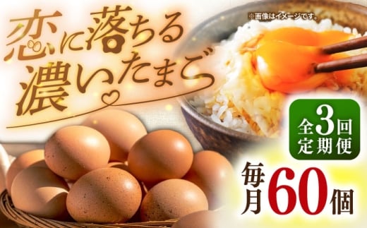 たまご ギフト 卵 新鮮 栄養豊富 濃厚 話題のたまご 贈答用 朝食 昼食