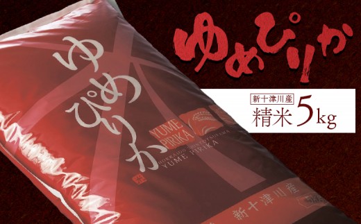 《先行受付》【令和7年度産】ゆめぴりか精米(5kg)