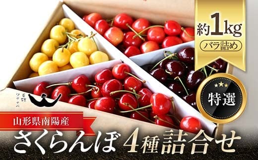 ※画像はイメージです。