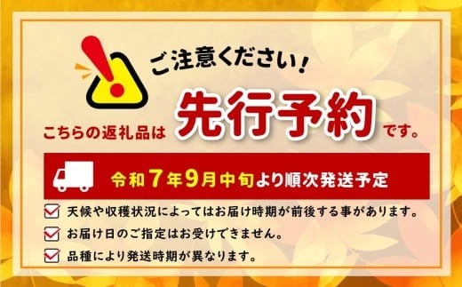 信州から直送！旬のりんごをお好きな品種で♪