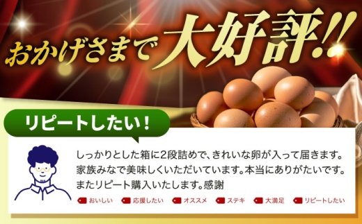 たまご ギフト 卵  新鮮 栄養豊富 濃厚 話題のたまご 贈答用  朝食 昼食 