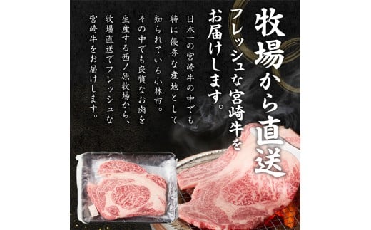 すき焼き用より分厚い６ミリカットでお届け！