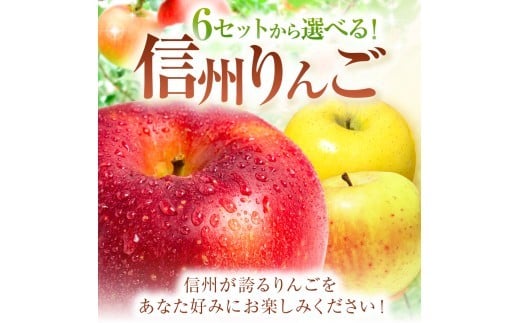 信州から直送！旬のりんごをお好きな品種で♪