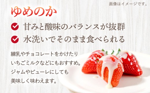 訳あり いちご 1kg