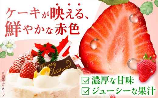 クリスマス ケーキ トッピング いちご ケーキ 手作り 苺 イチゴ