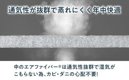 エアウィーヴ エアウィーブ エアリーヴ クッション 健康 airweave 人気 おすすめ