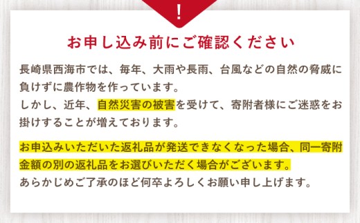 訳あり いちご 1kg