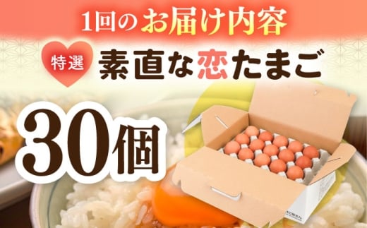 たまご ギフト 卵  新鮮 栄養豊富 濃厚 話題のたまご 贈答用  朝食 昼食 