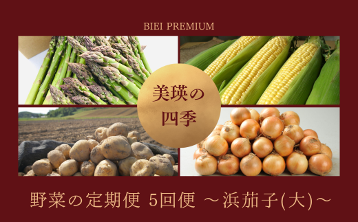 【先行予約】<令和8年産 > 美瑛の四季 野菜 定期便【浜茄子(大)】5回便 |  アスパラ とうもろこし 食べ比べ 送料無料 セット 玉ねぎ 人気 おすすめ ランキング いも 芋 イモ じゃがいも ジャガイモ 玉ねぎ タマネギ 玉葱 野菜 5か月 5回便 5回[076-05]