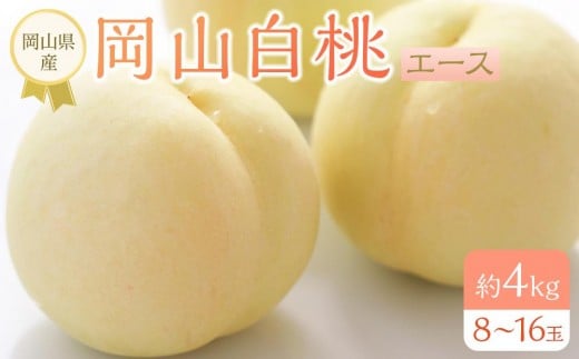 岡山県産 桃 岡山白桃 2026年 エース 約4kg（8～16玉）もも モモ フルーツ 果物 ギフト 1303658 - 岡山県岡山市