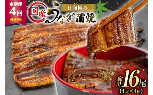 うなぎ 国産 【 丑の日 季節の定期便 】 日向極み うなぎ蒲焼 4尾 計480g [日向サンパーク 宮崎県 日向市 452061506] ギフト 小分け 真空パック 鰻 ウナギ うなぎの蒲焼 蒲焼 蒲焼き 2257798 - 宮崎県日向市