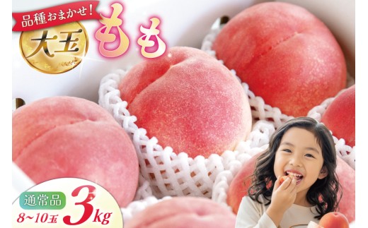【2026年発送】 桃 山梨 大玉 8～10玉 約 3kg もも モモ 3キロ 果物 フルーツ くだもの 果実 朝採れ 朝どれ 旬 季節限定 期間限定 数量限定 冷蔵 大玉桃 デザート 農園産直 産地直送 ジューシー 厳選 [斉藤農園 山梨県 韮崎市 20743041]