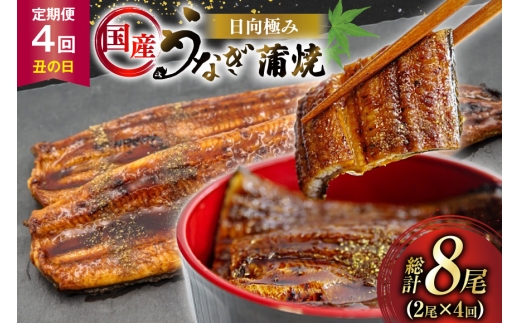 うなぎ 国産 【 丑の日 季節の定期便 】 日向極み うなぎ蒲焼 2尾 計240g [日向サンパーク 宮崎県 日向市 452061507] ギフト 小分け 真空パック 鰻 ウナギ うなぎの蒲焼 蒲焼 蒲焼き 2257797 - 宮崎県日向市
