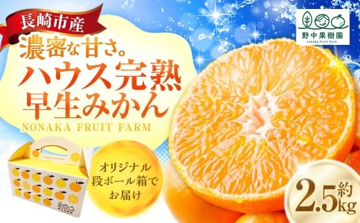 先行予約 ハウス完熟早生みかん お試し 約2.5kg箱 | 期間限定 フルーツ 果物 くだもの 柑橘 ミカン 野中果樹園 オンライン決済限定 長崎県 長崎市 アフター保証 【2026年1月上旬～下旬迄発送予定】 1446598 - 長崎県長崎市