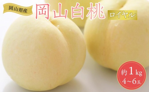 岡山県産 桃 岡山白桃 2026年 ロイヤ