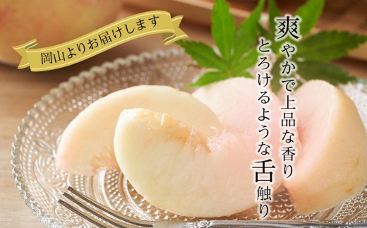 岡山県岡山市のふるさと納税 岡山県産 桃 岡山白桃 2026年 ロイヤル 約1kg（4～6玉）もも モモ フルーツ 果物 ギフト