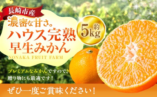 先行予約 ハウス完熟早生みかん 約5キロ箱 フルーツ 果物 くだもの ミカン