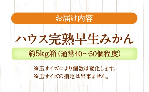 先行予約 ハウス完熟早生みかん 約5キロ箱 フルーツ 果物 くだもの ミカン
