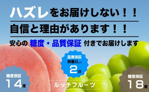 【2026年発送★先行予約】【全てに糖度保証付】大玉桃・シャインマスカット詰合せ 合計約2kg＜数量限定＞全国桃選手権『銀賞』受賞桃【ルッチ Rucci】産地直送 山梨県 笛吹市 いちのみや 一宮 大玉桃 果物 もも 葡萄 ぶどう 贈答 人気 ギフト 詰合せ ランキング リピート 高評価 ギフト 贈答 贈り物 化粧箱 期間限定 令和8年 2026年 104-064
