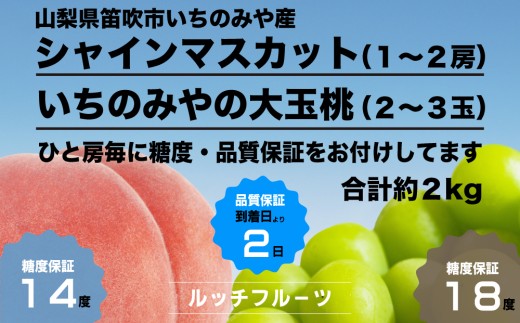 フルーツソムリエが選ぶシャインマスカットと、全国桃選手権で銀賞を受賞した「いちのみやの大玉桃」の詰合せセットです