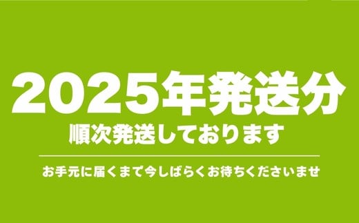 福島県福島市のふるさと納税 No.2769福島のフルーツ定期便４種【2026年発送　先行予約】
