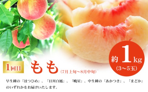 福島県福島市のふるさと納税 No.2768福島のフルーツ定期便３種【2026年発送　先行予約】