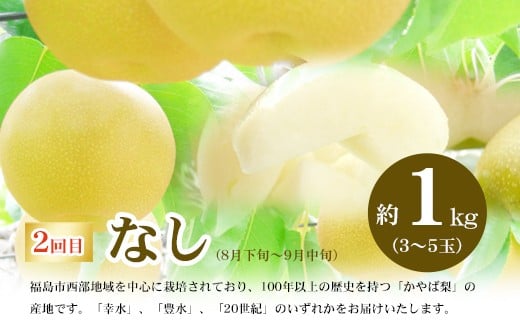 福島県福島市のふるさと納税 No.2769福島のフルーツ定期便４種【2026年発送　先行予約】