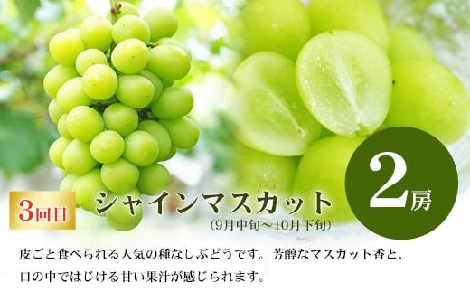 福島県福島市のふるさと納税 No.2769福島のフルーツ定期便４種【2026年発送　先行予約】