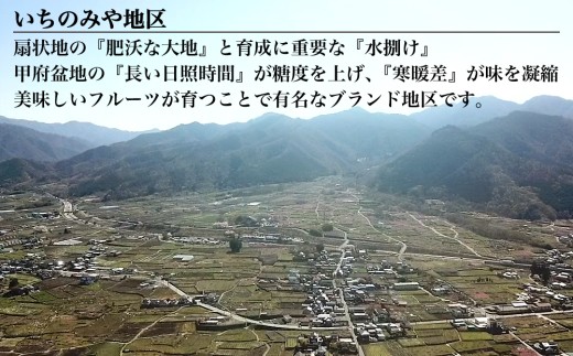 「いちのみや」は、桃・ブドウともに日本一の生産量を誇る笛吹市でも美味しいフルーツが育つことで有名なブランド地区です。