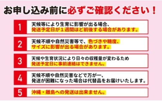 福島県福島市のふるさと納税 No.2768福島のフルーツ定期便３種【2026年発送　先行予約】