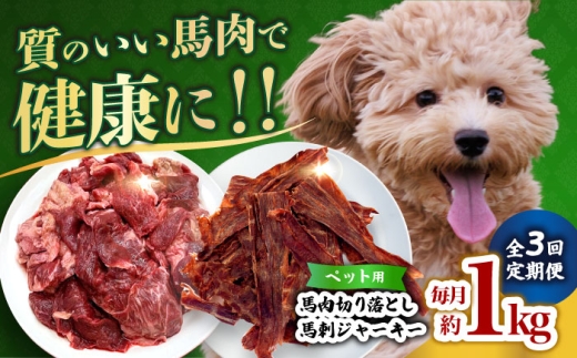 [全3回定期便]詰め合わせ 国内加工 ペット用 馬肉 切り落とし 1kg ペット用 馬刺しジャーキー 100g(50g×2) [合同会社 長岡フーズ] 