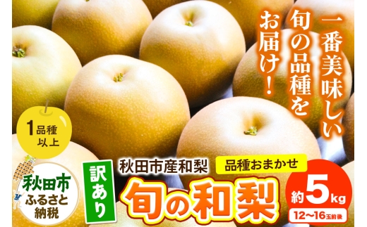 【訳あり】秋田市産 和梨 旬の品種おまかせ 約5kg（12～16玉前後） 2257964 - 秋田県秋田市