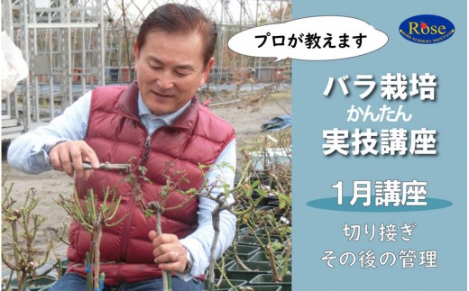 プロが教えるバラ栽培実技講座【1月：切り接ぎ・その後の管理】 2258652 - 愛知県稲沢市