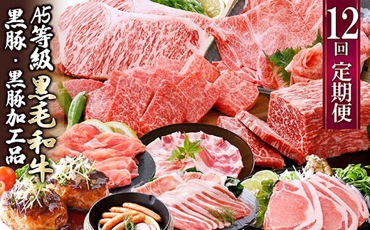 お肉の定期便(12回)枕崎お楽しみ便(A5等級黒毛和牛・黒豚・黒豚加工品etc) KK-6003_ 肉 定期便 黒毛和牛 黒豚 加工品 ステーキ ソーセージ ハム 12回 ハンバーグ 鹿児島県 枕崎市 人気 おすすめ 送料無料 贈答 ギフト カツ 【1166746】