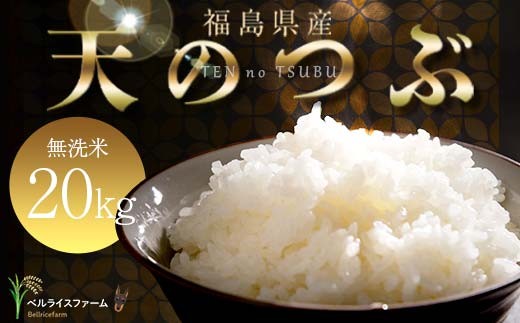 〈先行予約〉令和7年産 農家直送 ベルライスファームの天のつぶ 無洗米20kg F6U-130