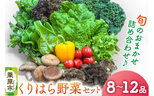 くりはら野菜セット（旬のおまかせ詰め合わせ  8～12品 ） 2258439 - 宮城県栗原市