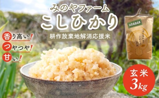 令和7年産新米 こしひかり 3ｋｇ（玄米）　みのやファームの耕作放棄地解消応援米 【 コシヒカリ こしひかり おいしいお米 玄米 自然栽培 贈り物 ギフト 千葉県 御宿町 人気 おすすめ ランキング 】 ONJF005