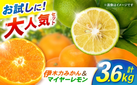 [大人気みかんとレモンのお試しセット]伊木力みかん(家庭用)1.8kg マイヤーレモン1.8kg 計3.6kg / みかん ミカン 蜜柑 mikan 柑橘 かんきつ レモン れもん 檸檬 果汁 果物 / 諫早市 / 山野果樹園 [AHCF016]