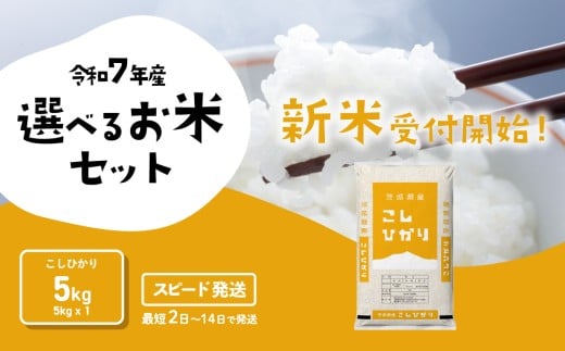 [最短発送]令和7年産 新米 精米 コシヒカリ 5kg 9月発送 令和7年産米 [SF294yai]