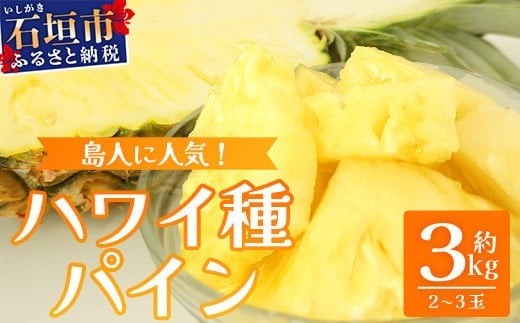 【先行予約】《2025年7月上旬頃より順次発送》石垣島産 ハワイ種パイン 2～3玉セット 約3㎏【 産地直送 石垣島産 石垣 完熟 パイン パイナップル 】TD-6