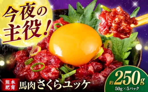 馬肉さくらユッケ 250g ( 50g × 5 ) [合同会社 長岡フーズ] 