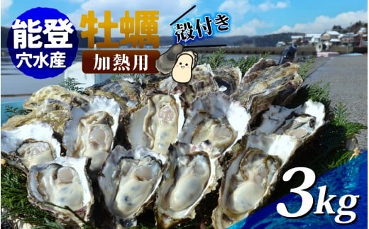 【先行予約】鮮度抜群！獲れたてをお届け！ 能登穴水の牡蠣(殻付) 加熱用 3kg【2026年2月以降順次発送】 | 奥能登 能登半島 冷蔵 真牡蠣 3キロ ナイフ付き 肉厚 殻付き 海鮮 魚介類 海産物 バーベキュー BBQ 貝 オイスター