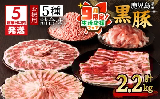 【 期間限定 生活応援 】【5営業日以内に発送】鹿児島県産黒豚お徳用 5種詰合せ(2.2kg)　K134-010_cp