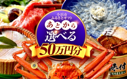 [あとから選べる] 福井県小浜市ふるさとギフト 50万円分 海産物 箸 お米 スイーツ あとから ギフト [BFDV022]