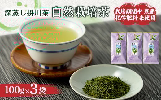 自然栽培茶(化学肥料・農薬未使用)深蒸し掛川茶100g×3袋【1091798】 1244016 - 静岡県掛川市
