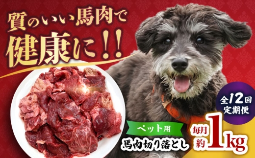 【全12回定期便】国内加工 ペット用 馬肉 切り落とし 1kg  【合同会社　長岡フーズ】 [ZFR056]