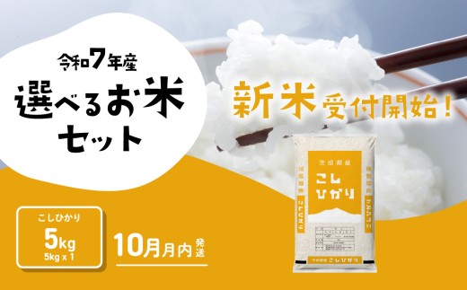 【10月月内発送】コシヒカリ 5kg 令和7年産 茨城県産 こしひかり 白米 精米 茨城県 お米 米 [SF300yai]